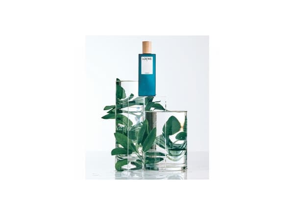 Loewe 7 Cobalt EDP 100 ml