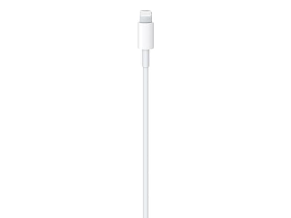 Apple USB-C to Lightning Cable - Lightning-kabel - USB-C hann til Lightning hann - 1 m