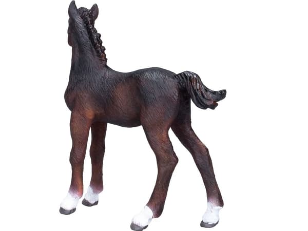 Mojo hanoverian Føl, Brun