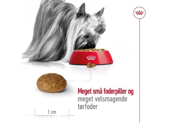 Royal Canin X-Small Adult 8+ tørfoder til hund - 3 kg