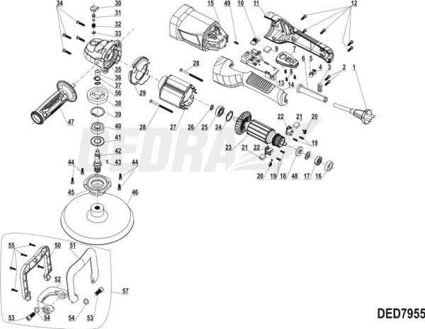 Dedra Spindle