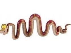 Kaa BULLYLAND