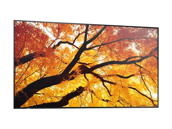 Sharp/NEC MultiSync M982