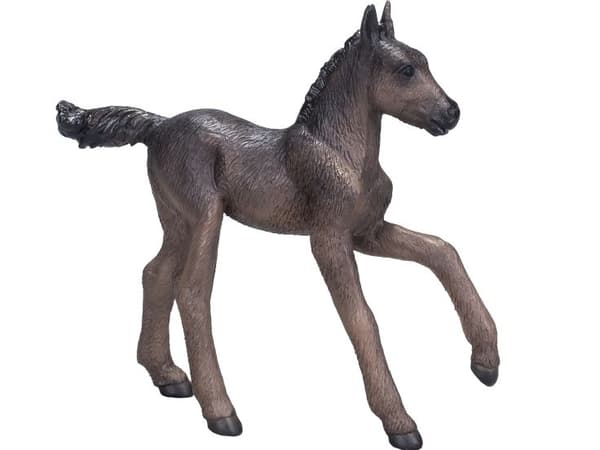 Mojo Arabian Foal, musta
