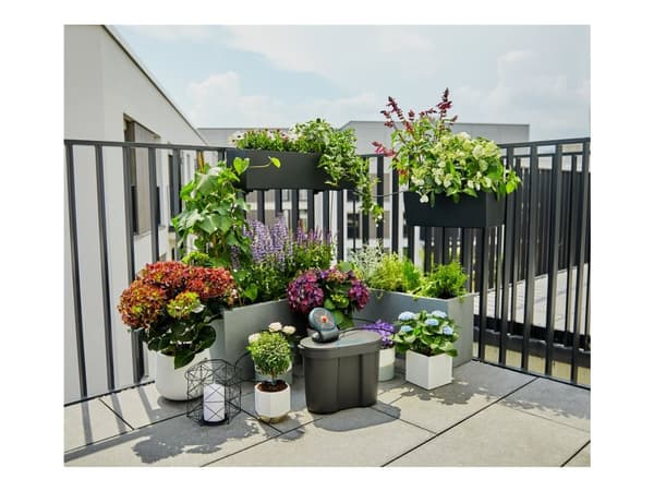 GARDENA AQUABLOOM SÆT DISPLAY