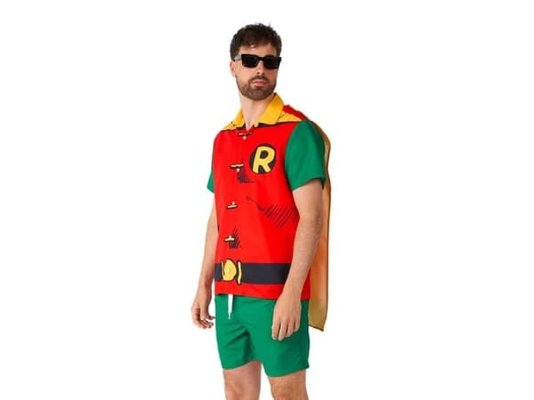 Robin sommarset