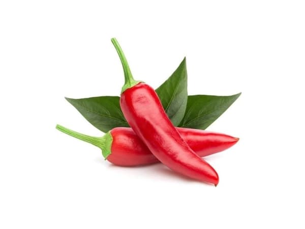 EMSA Click & Grow, Chili pepper