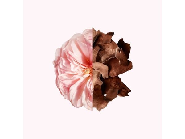 Givenchy Irresistible Edp Spray - Dame - 50 ml