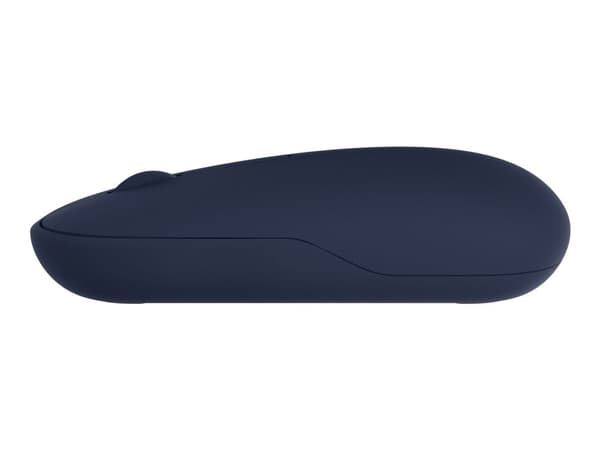 ASUS Marshmallow MD100, Molempikätinen, Optinen, RF Wireless + Bluetooth, 1600 DPI, Sininen