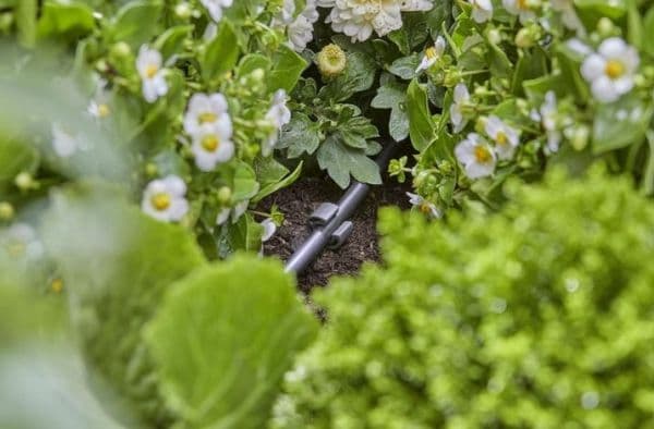 Gardena 13218-20, Sort, Bakke