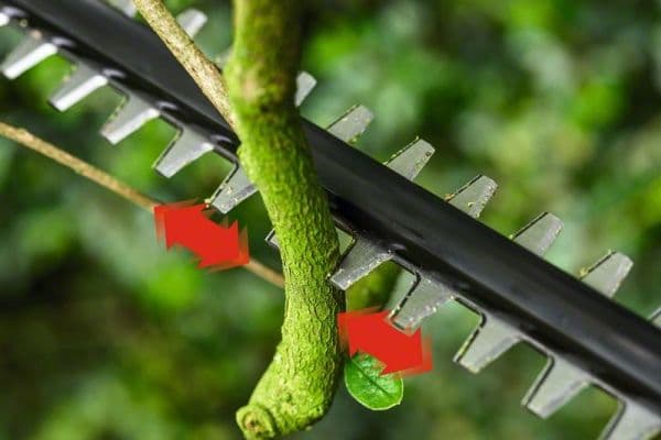 Bosch batterihäcksax UniversalHedgePole 18