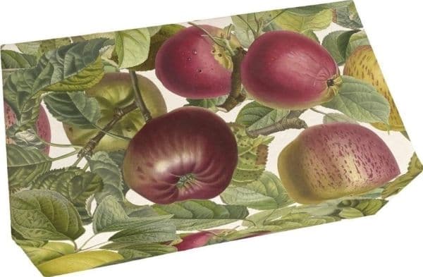 Tvål 200 g äppeldoft Apple