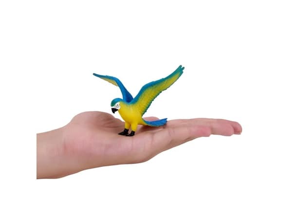 Blue Macaw