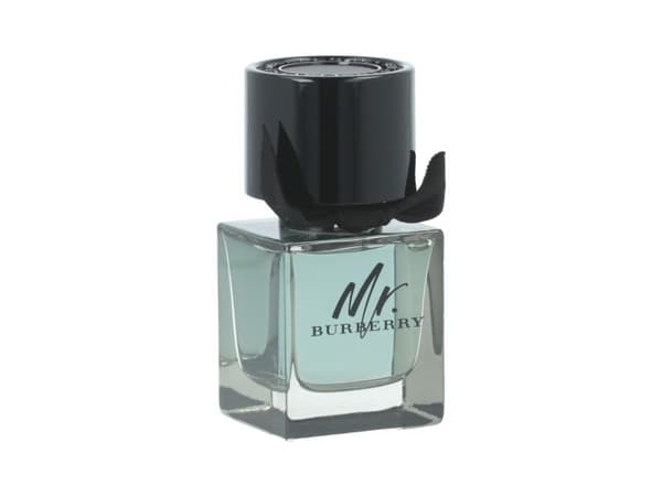 Burberry Mr., Mænd, 50 ml, Spray