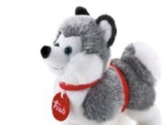 Trudi Husky, 0 vuotta