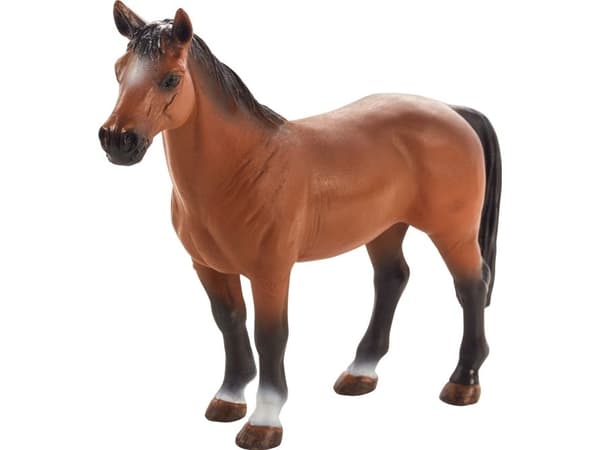 Mojo Trakehner hevonen