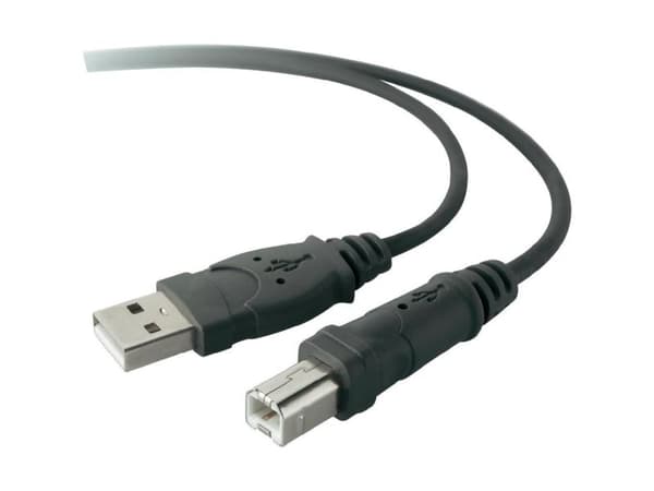 Belkin Premium Printer Cable - USB-kabel - USB typ B (hane) till USB (hane) - USB 2.0 - 3 m - formpressad