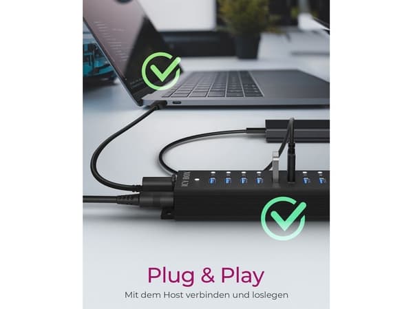 ICY BOX IB-HUB1717-U3 USB-hubb 17 portar