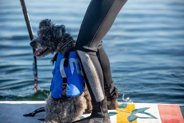 Baltic Hundflytväst Splash Xs