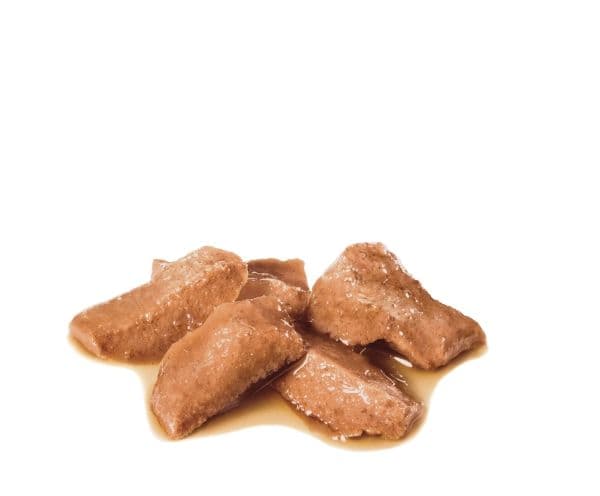 Royal Canin Maine Coon Adult Gravy vådfoder til kat - 12x85 g