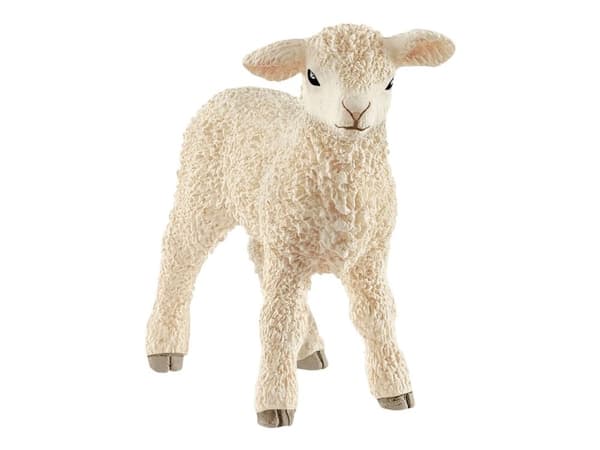 Schleich lam