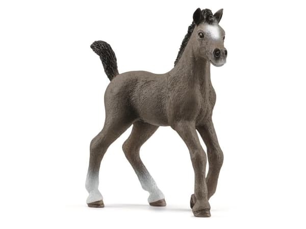 Schleich Cheval de Selle Fr. foal