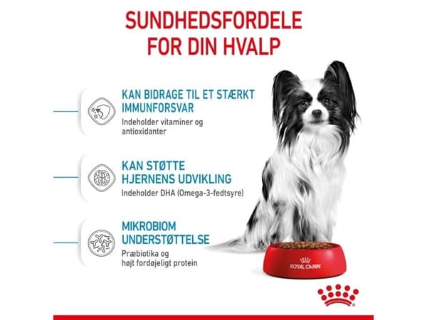 Royal Canin X-small Puppy torrfoder för valpar – 3 kg
