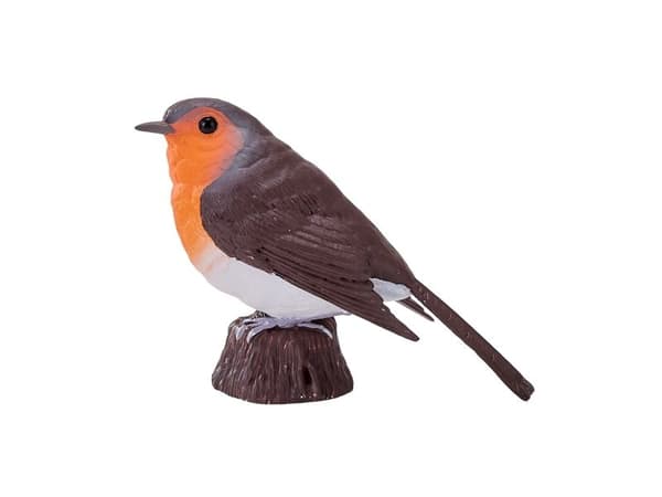Robin
