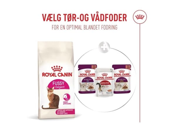 Royal Canin Fussy tørfoder til kat - 4 kg