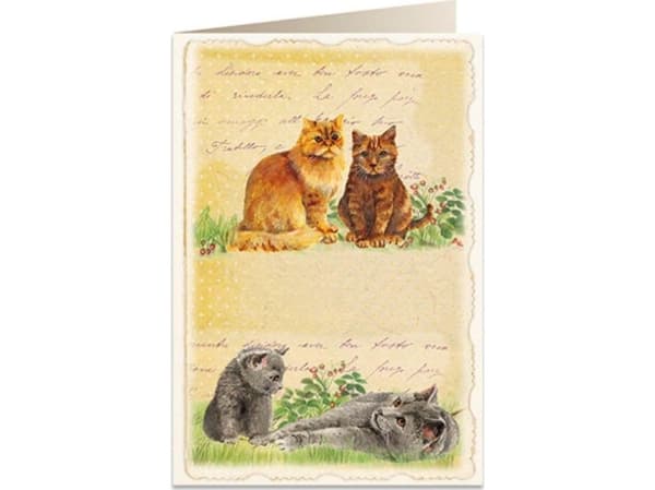 B6 karnett + konvolutt 5904 Cats
