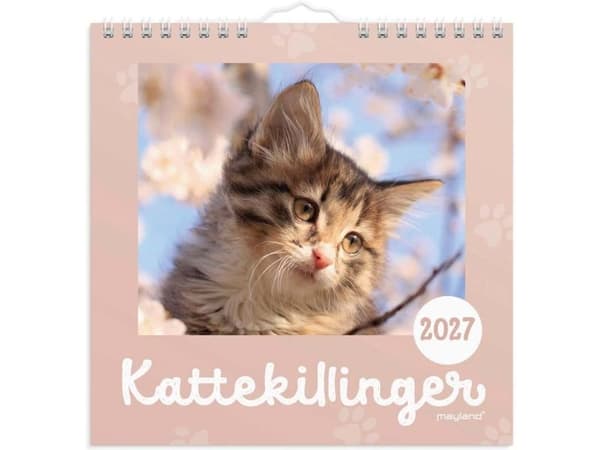 Väggkalender mini Kattungar 2027