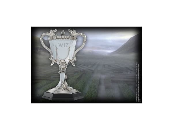 Triathlon cup