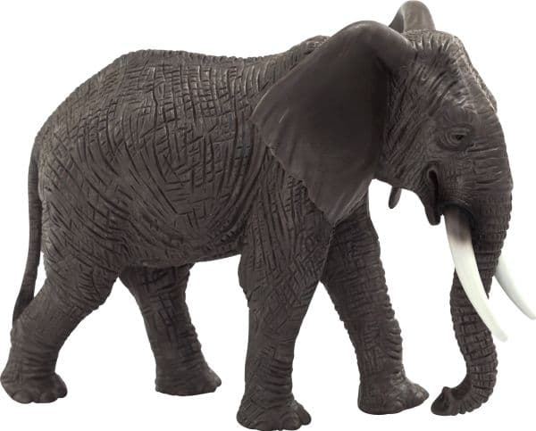 Mojo Afrikansk elefant