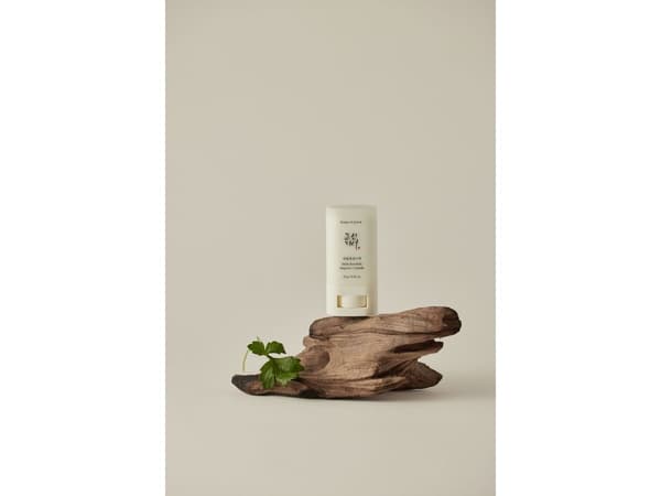 Mugwort + Camellia Matte Sun Stick (W,18 g)