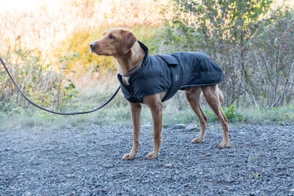 Jacson Sonja Hundedekke Svart 20cm