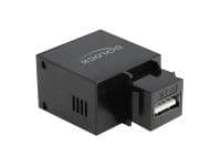 Delock - Modulinnlegg - USB-lading - svart