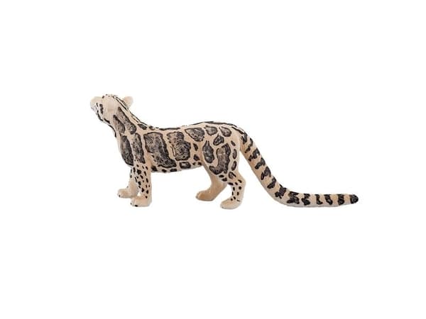 Mojo Clouded Leopard