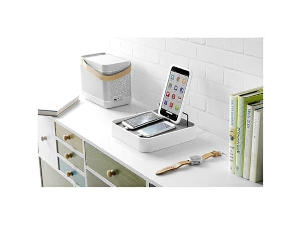 Bluelounge Sanctuary4 - Dockningsstation - USB