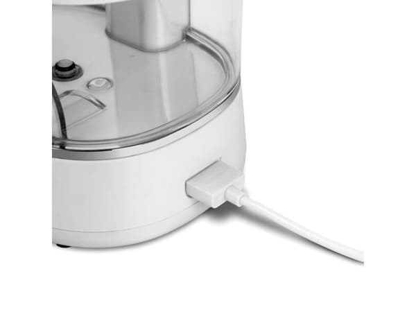 Waterpik WF-11 ion vit