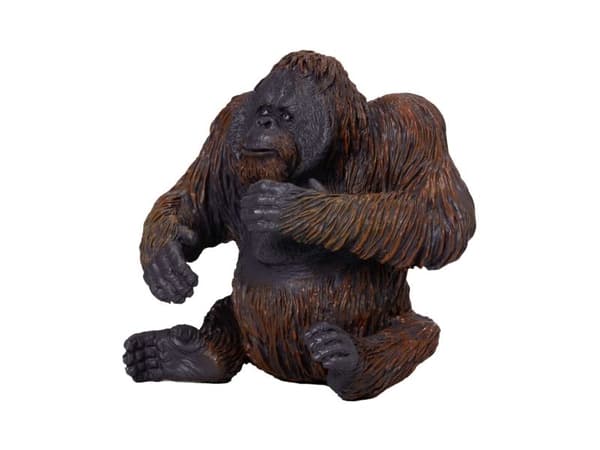 Mojo Orangutan