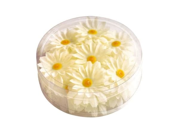 20 hvide margueritter