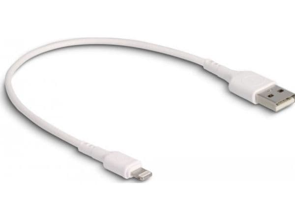 Delock - Lightning-kabel - USB hann til Lightning hann - 30 cm - hvit