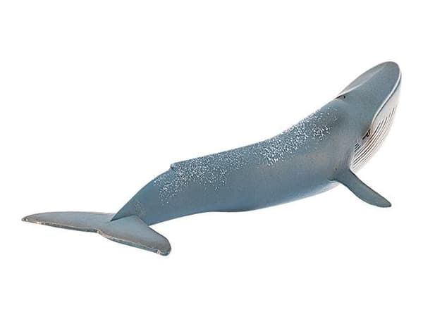 Schleich Wild Life - Blue Whale