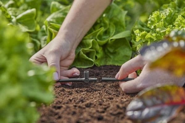 Gardena T-koppling för sprutmunstycke 4,6 mm (3/16")