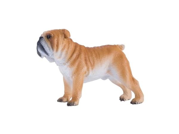 Mojo Engelsk bulldog