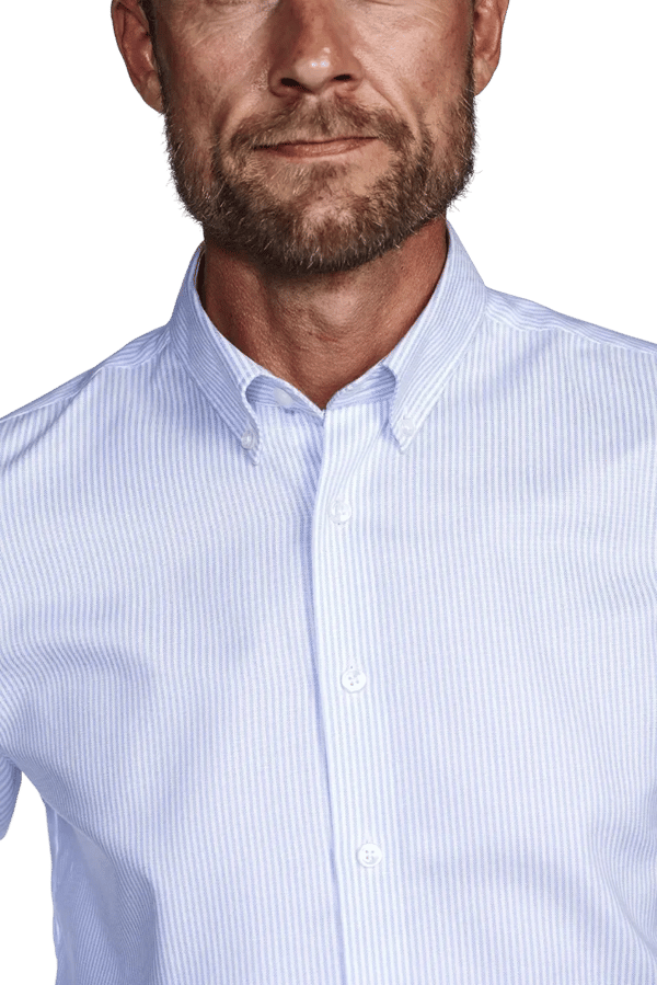 BUTTON DOWN - OXFORT STRIBE - BLUE