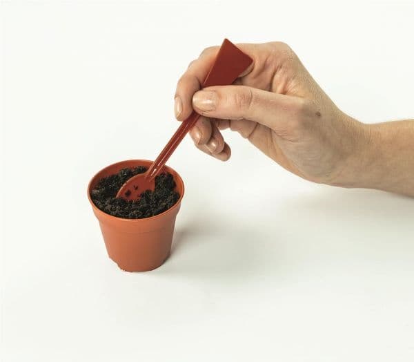 Mini drivhus