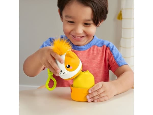 Fisher Price Nesting Pet Friends