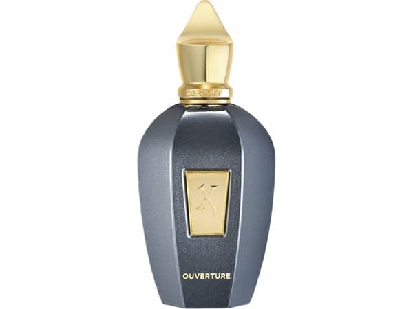 Xerjoff Ouverture EDP spray 100 ml