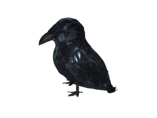 Ravn, 9 cm